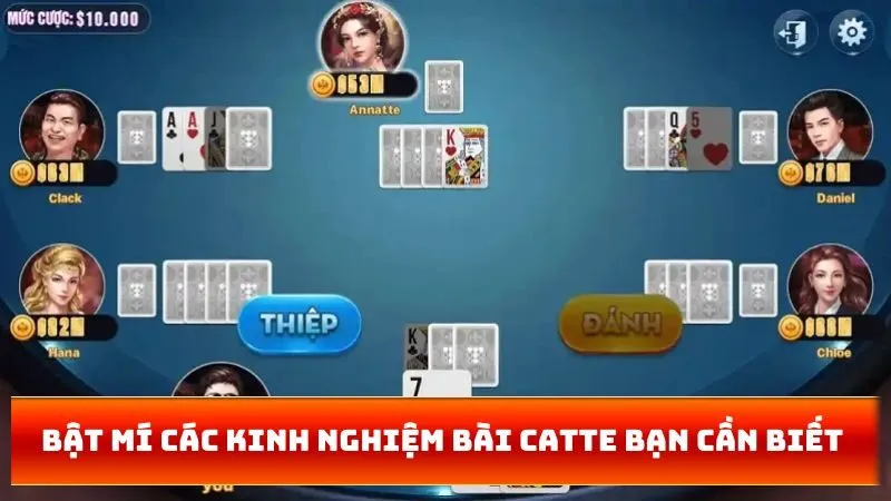 Bật mí các kinh nghiệm bài catte bạn cần biết